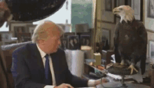 a.gif