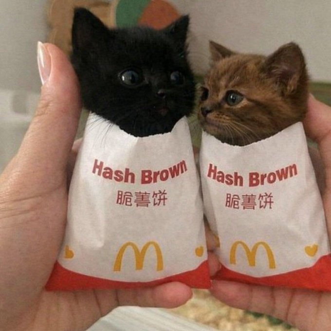 AAlY3F.jpg