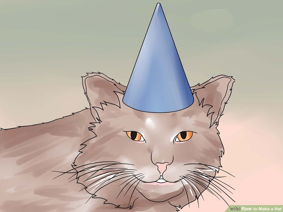 aid3178423-900px-Make-a-Hat-Step-16-Version-2.jpg