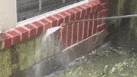 ambers butt crust.gif