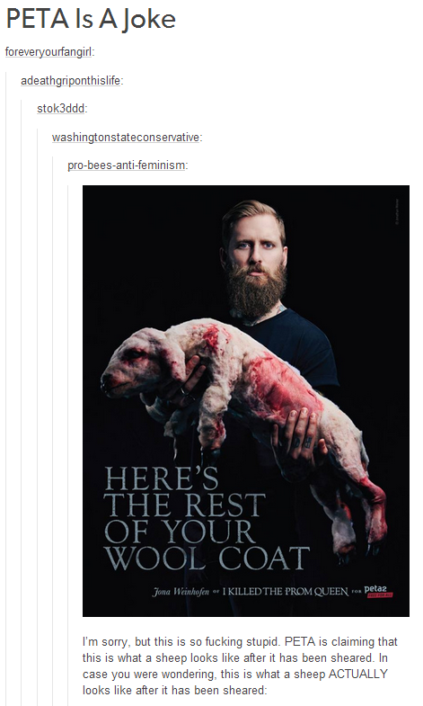an5XRmj.png