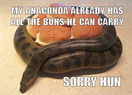 anaconda buns.jpg