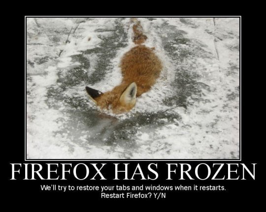 animal firefox media.jpg