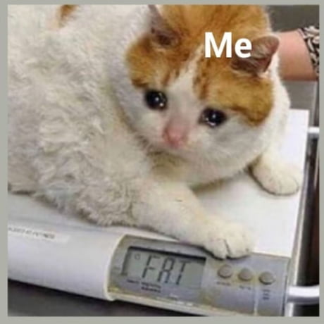 aPYLygB_460s.jpg