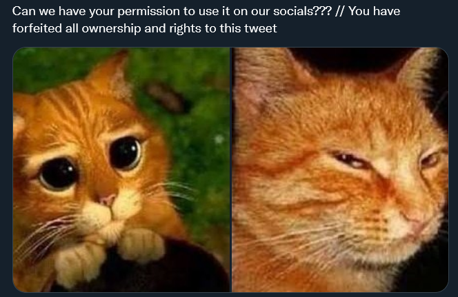 asfasfasfs.png