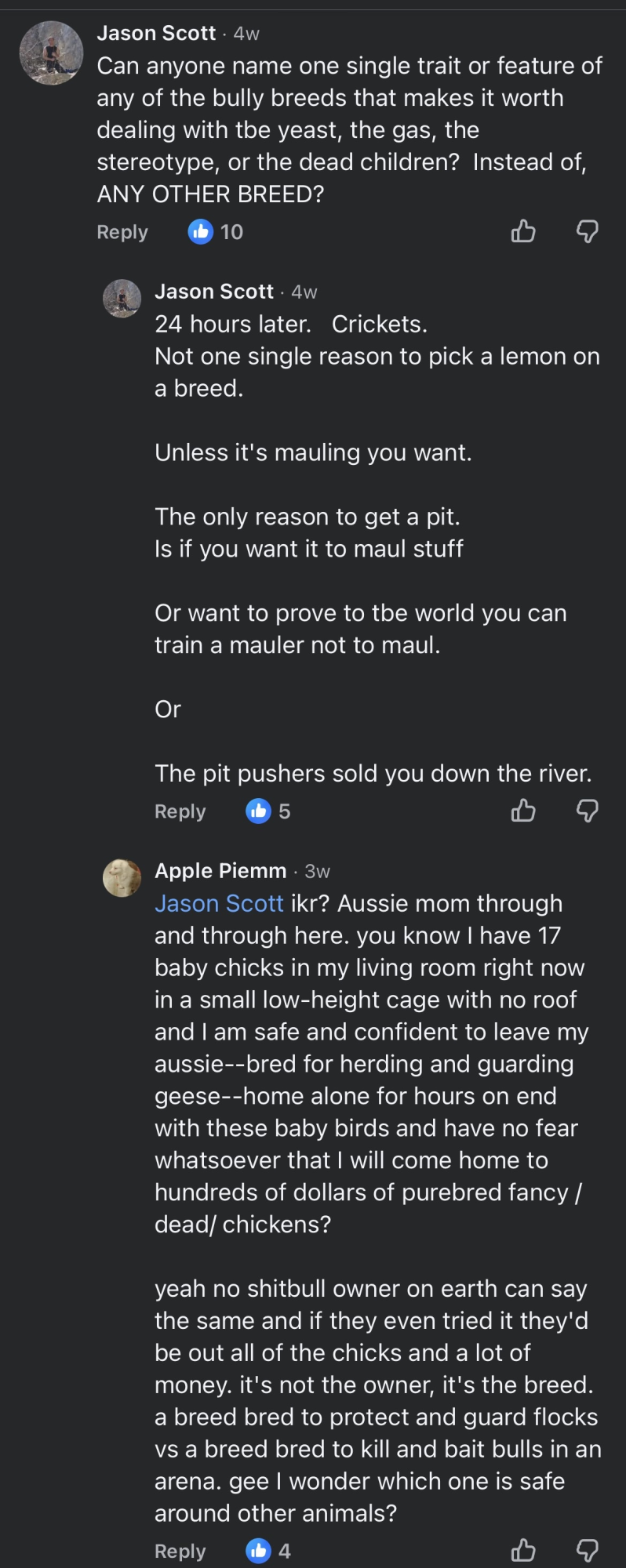 aussiemom.png
