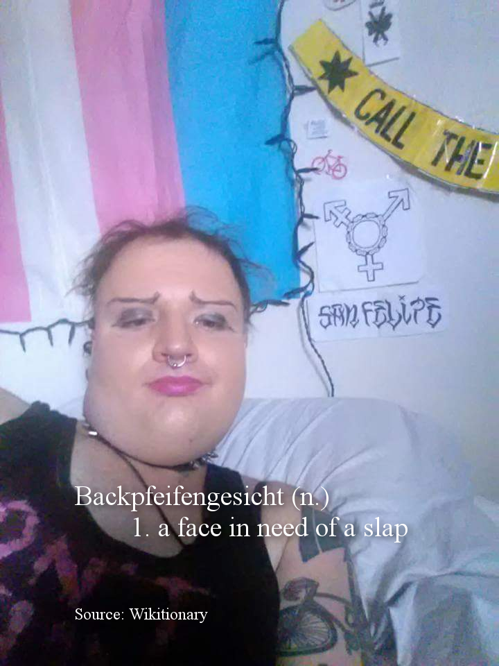 Backpfeifengesicht.png