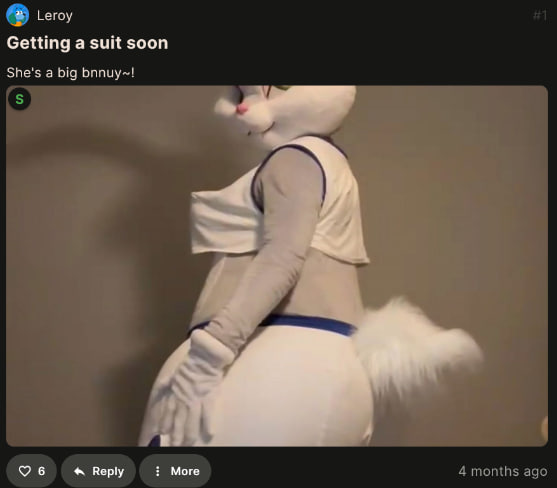 badsuit1.jpg