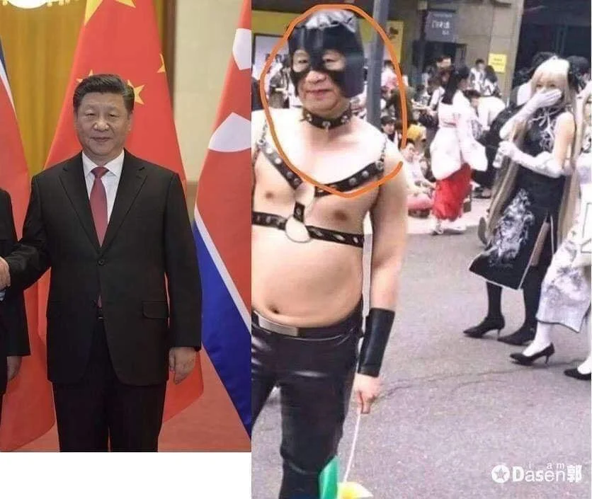 bdsm bear.png