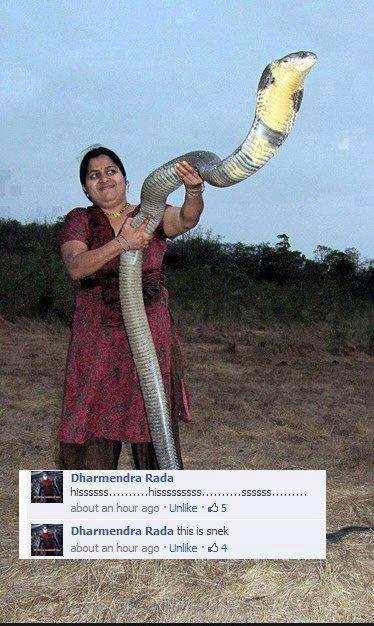 begrgbebr.jpg