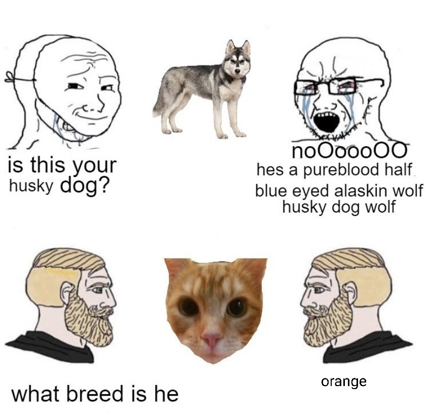 BF9077D3-439E-43D2-B277-EA7B9BD9FA02.jpeg