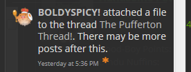 boldyalert.PNG