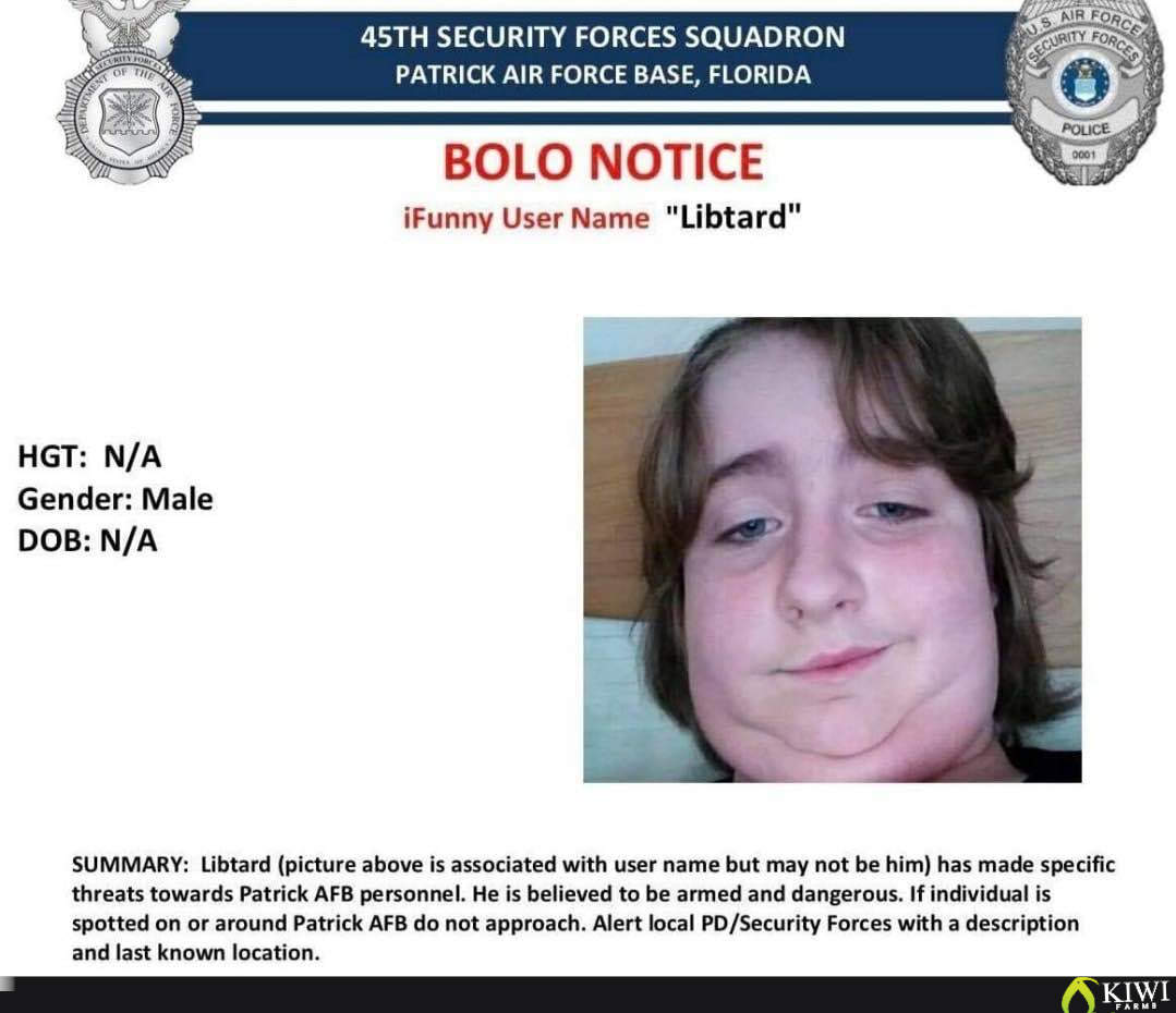 bolo.jpg