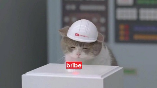 bribe.jpg