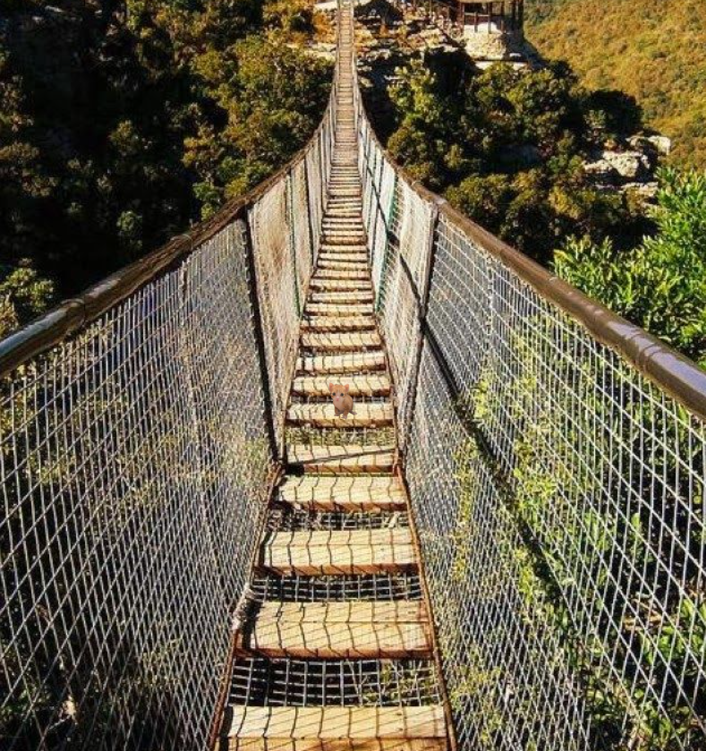 bridgekitn.png