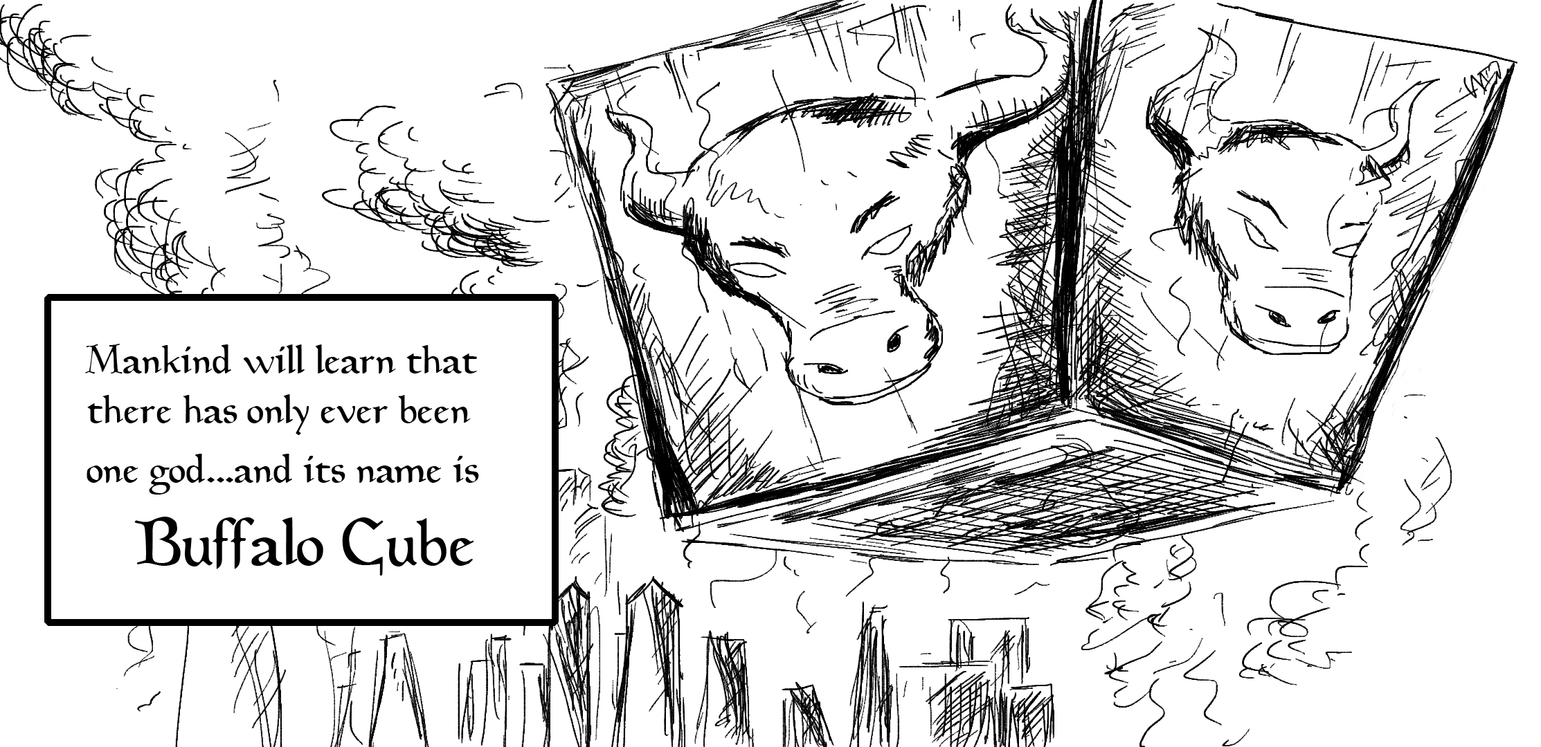 BUFFALO CUBE.jpg