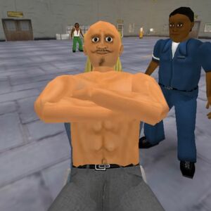 BulkBetterPic.jpg