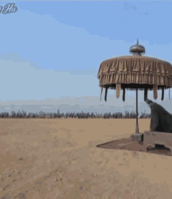 cao-cao-running.gif