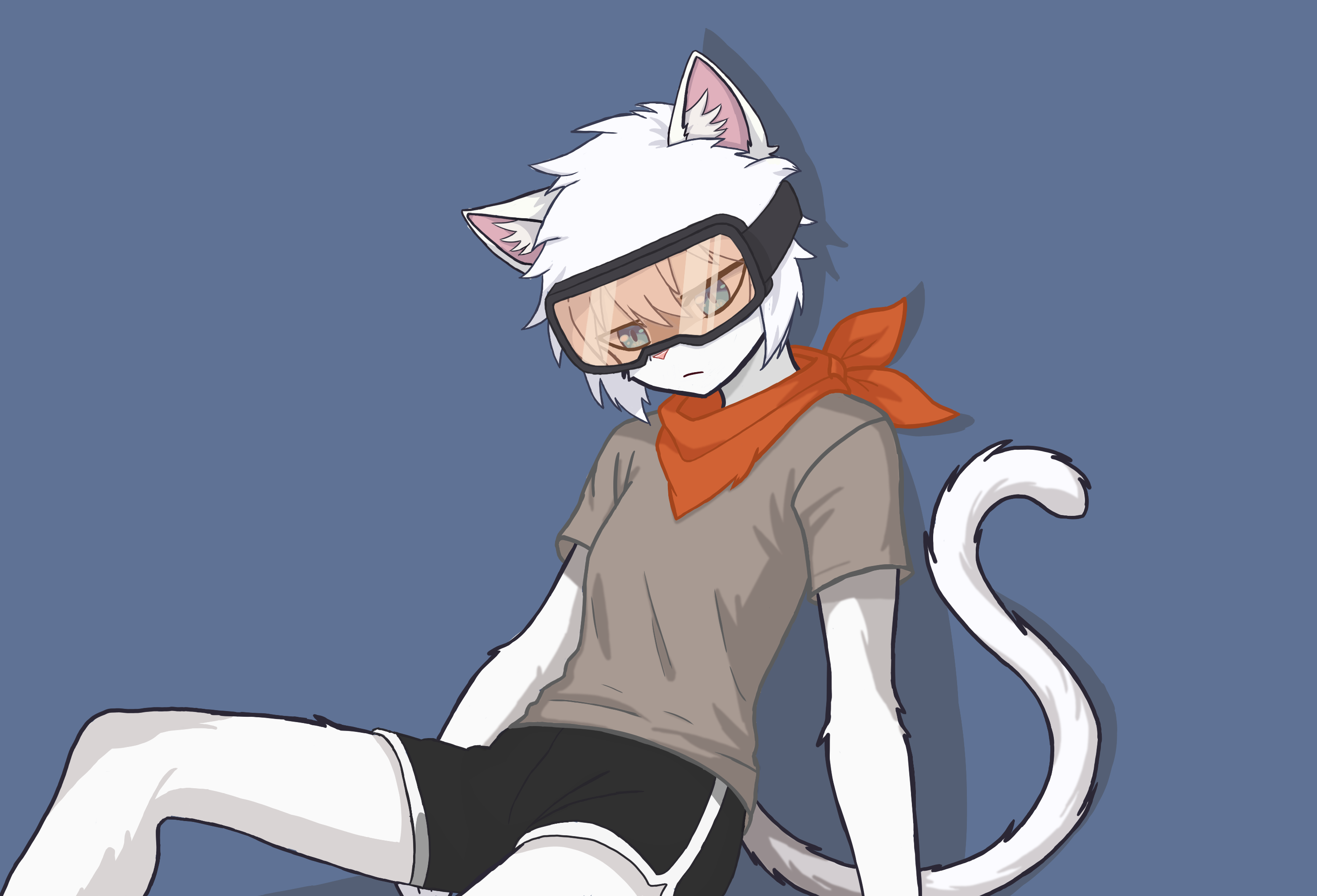 cat sona.png