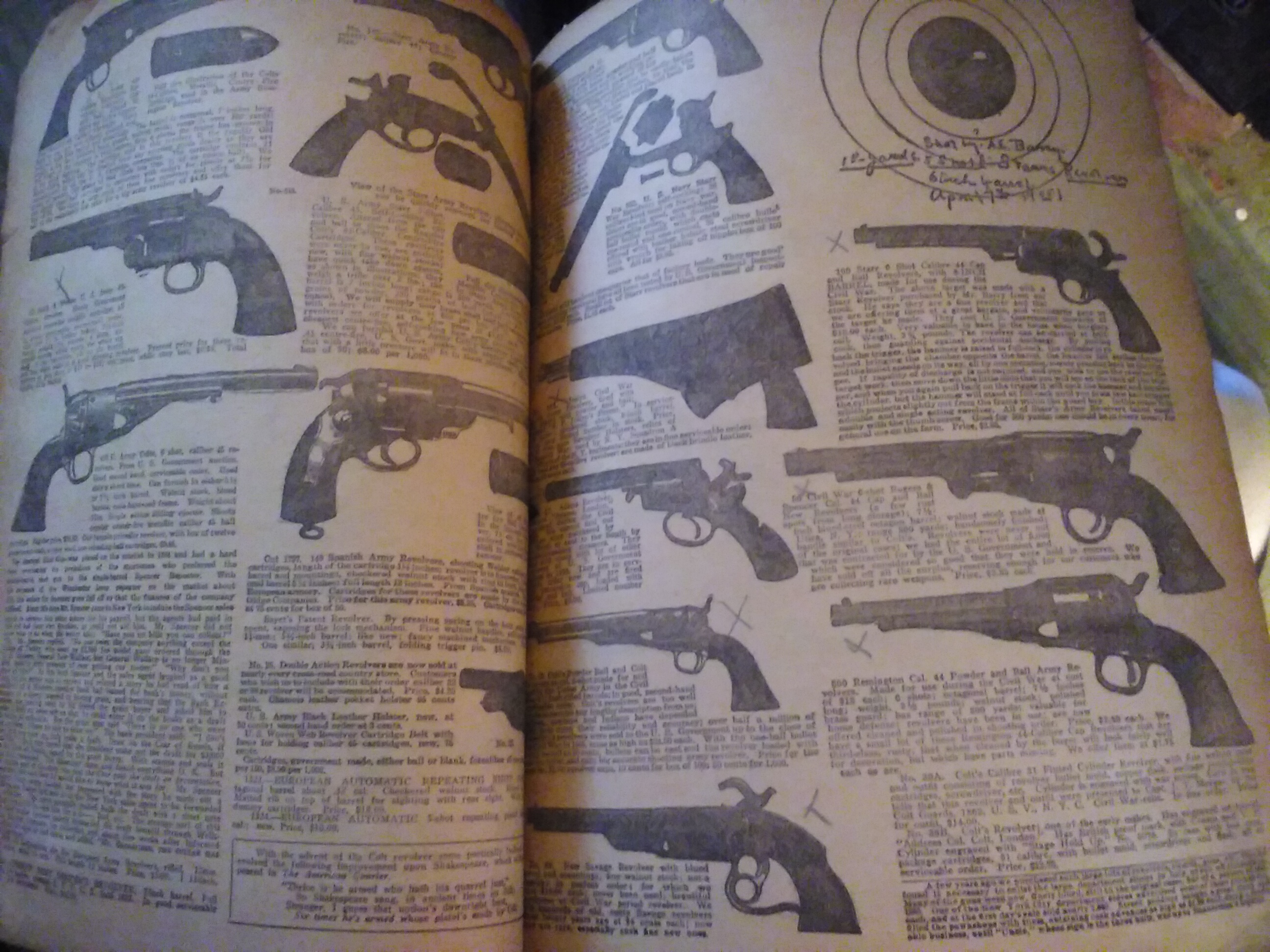 catalo1noexif.jpg