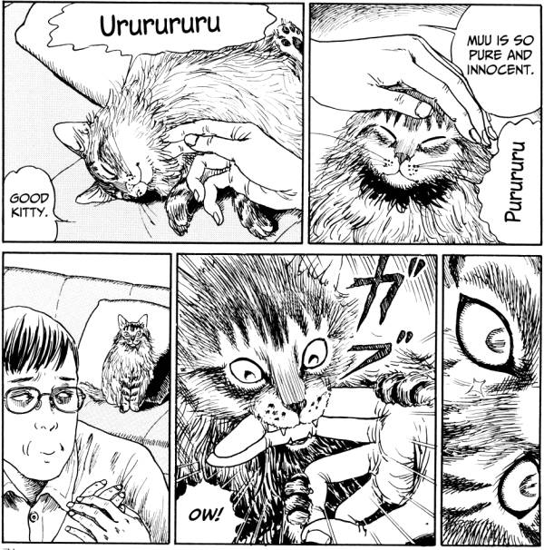 catdiary4.png