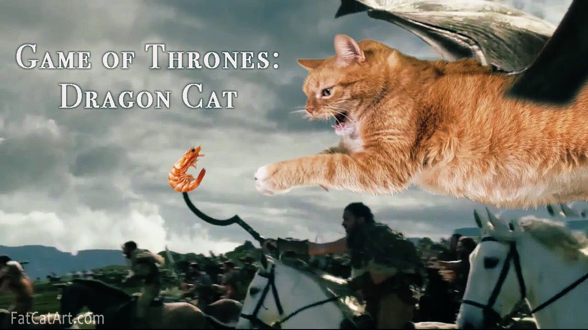 catverse.jpg