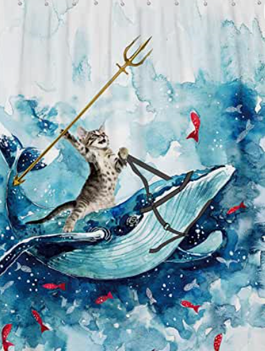 Catwhale.png