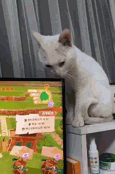 ccc.gif
