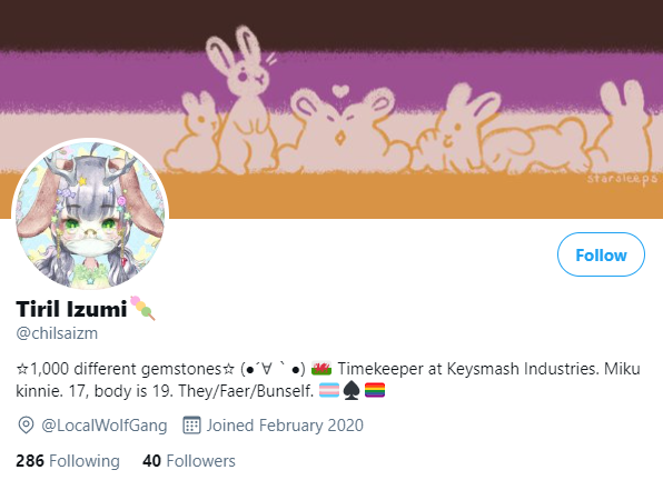 chilsaizm profile.png