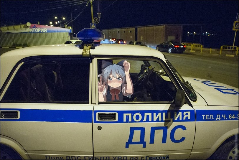 CirnoBusted.png