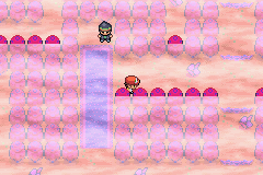 Clover v1.2_02.png