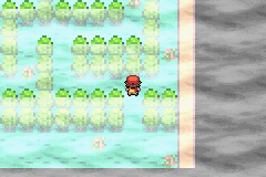 Clover v1.2_08.png