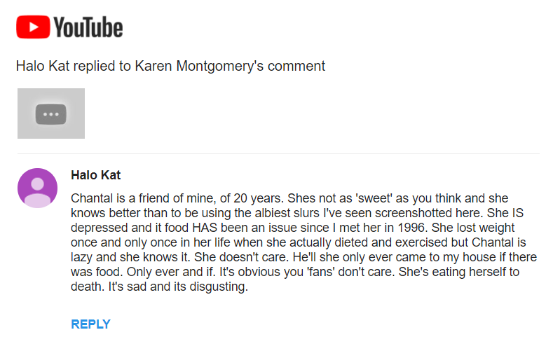 comment1.PNG