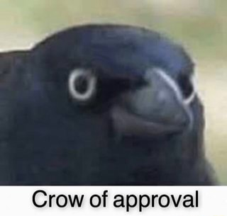 crow of approval.png