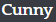 CUNNY.png