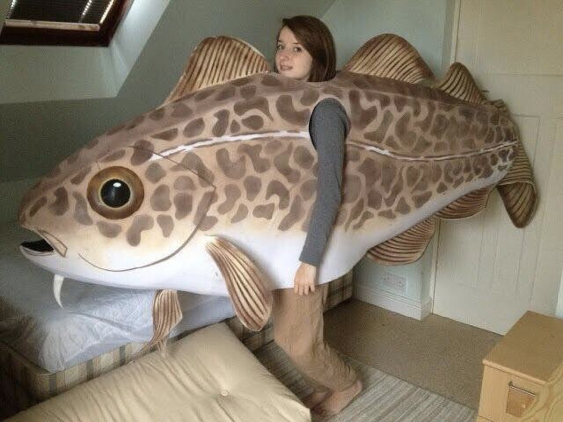 cursed-images-14.jpg