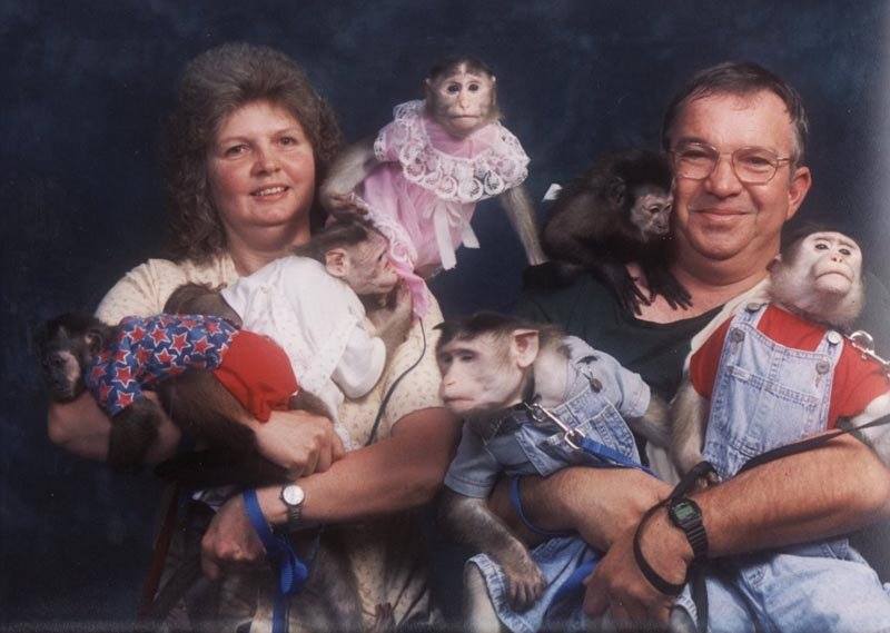 cursed_chimps.jpg