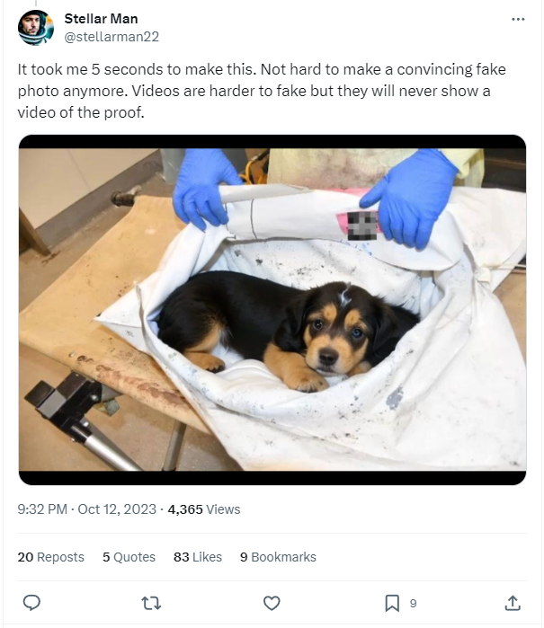cuteaidog.png