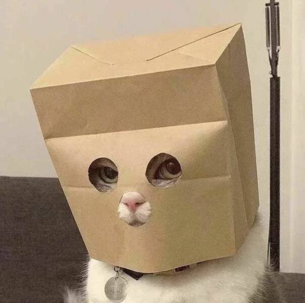 daily_picdump-28-6.jpg