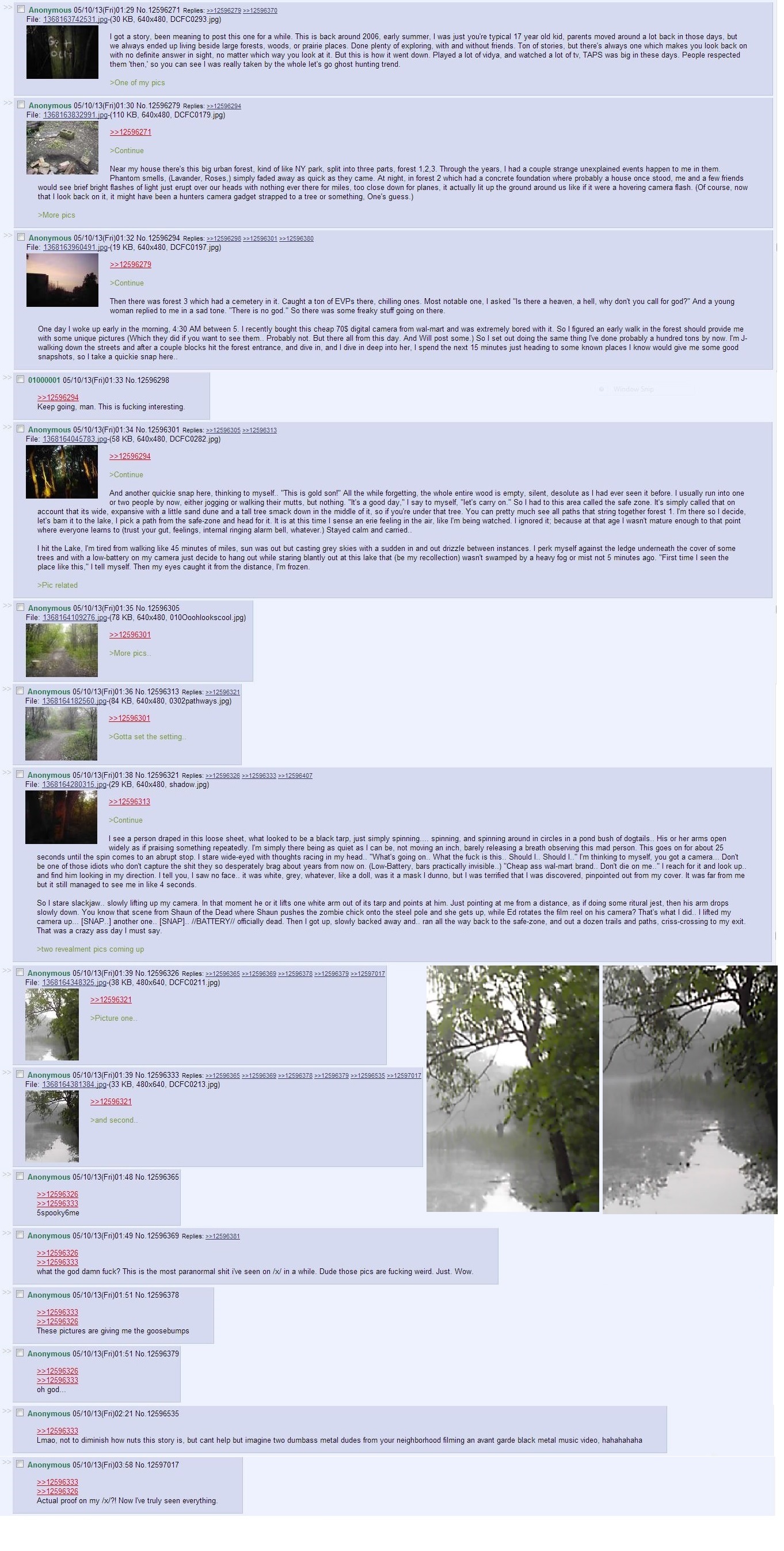 dances in reeds.jpg