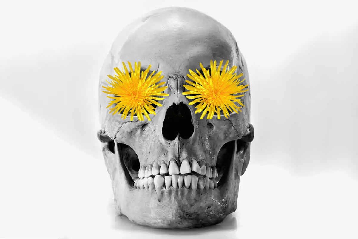 dandelion eyes spoopy.png