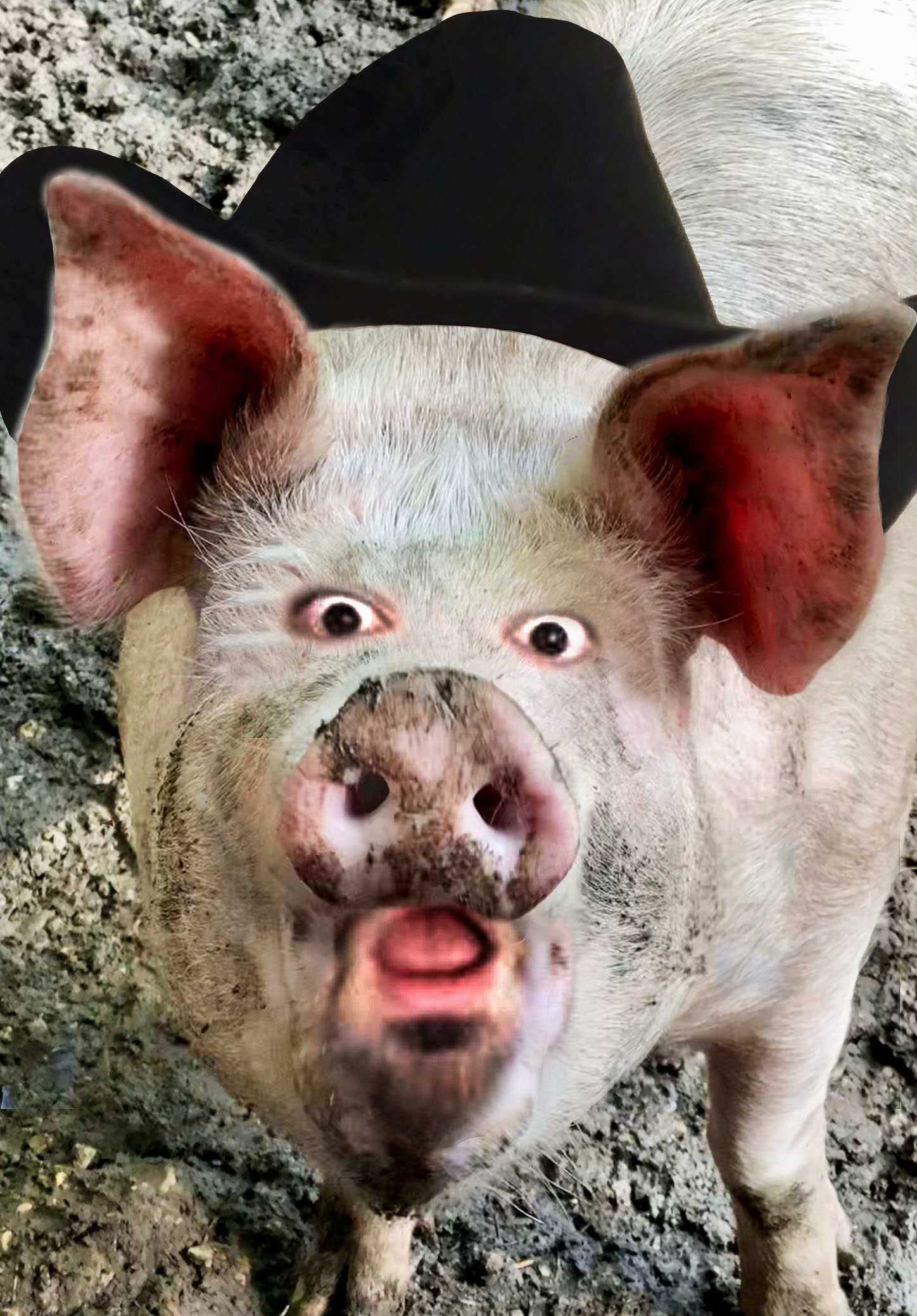 DarksydePig.jpg