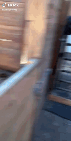 DASH-1080.GIF