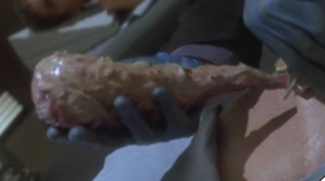 Dax_Symbiont.jpg