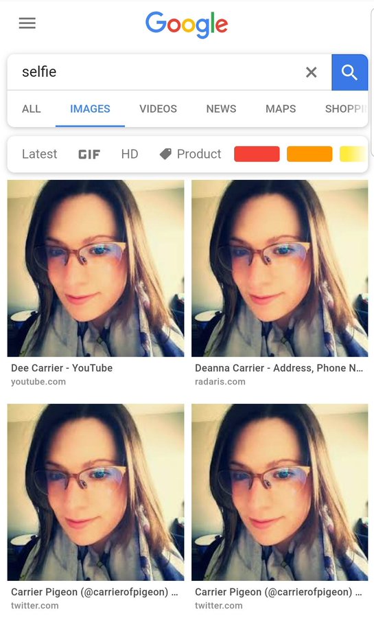 Deanna Carrier Reverse Search.jpg