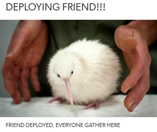 deploy kiwi frien.png