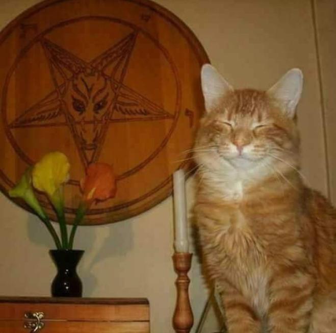 devlish_kitten.jpg