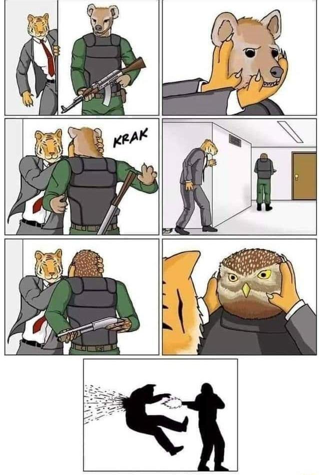 DlE6jhr.jpg