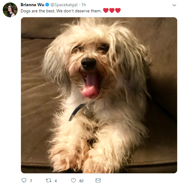 dog.jpg