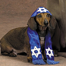 dog.png